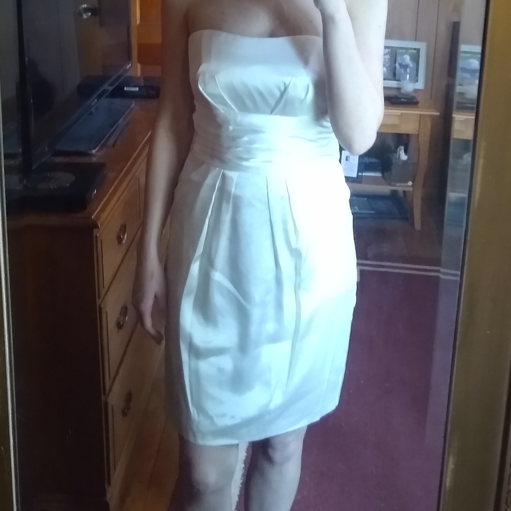 David's Bridal dress